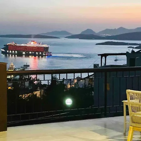 Deniz Manzarali Tas Villa